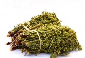 sušená rastlina neem